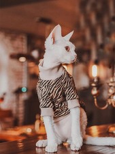 Sphynx Cat Striped Sweatershirt Hairless Cat T-shirt Clothes Comfort Cotton Coat