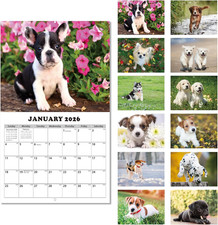 2026 Wall Calendar - Monthly Calendar 2026-2027, Jan 2026 - Jan 2027, 11" x 16.5