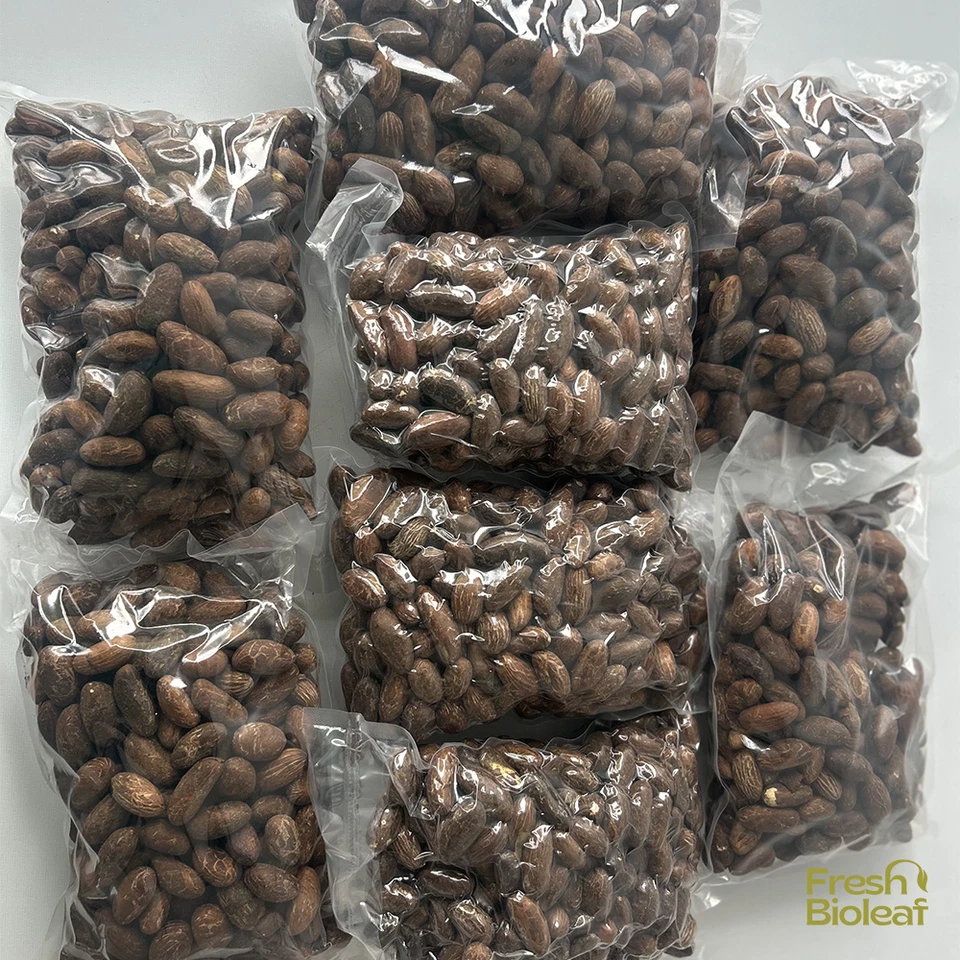 Petit Cola frais – Bitter Kola Pur – Garcinia kola – 100% Naturel - Bild 2 von 4