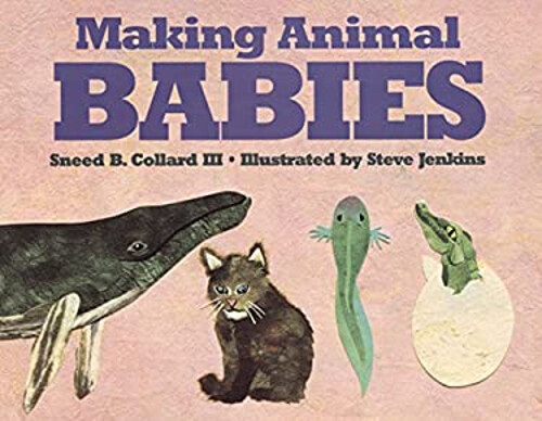 Making Animal Babies Reinforced Library Binding Sneed B., III Col