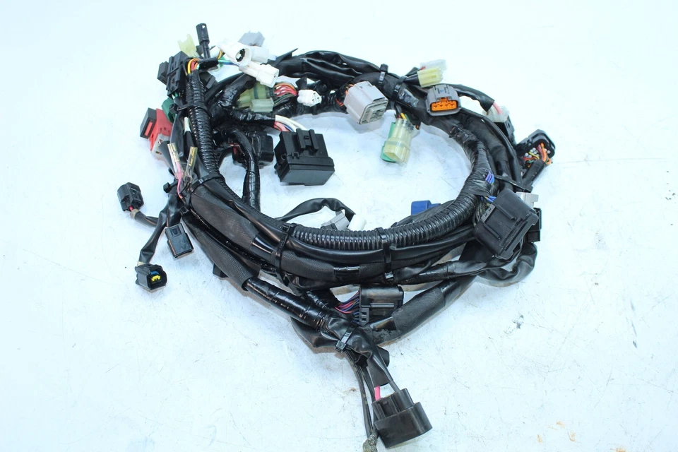 09-10 YAMAHA RSVENTURE GT OEM ЖГУТ ПРОВОДОВ ГЛАВНОГО ДВИГАТЕЛЯ 8HF-82590-00-00 - Изображение 3 из 4