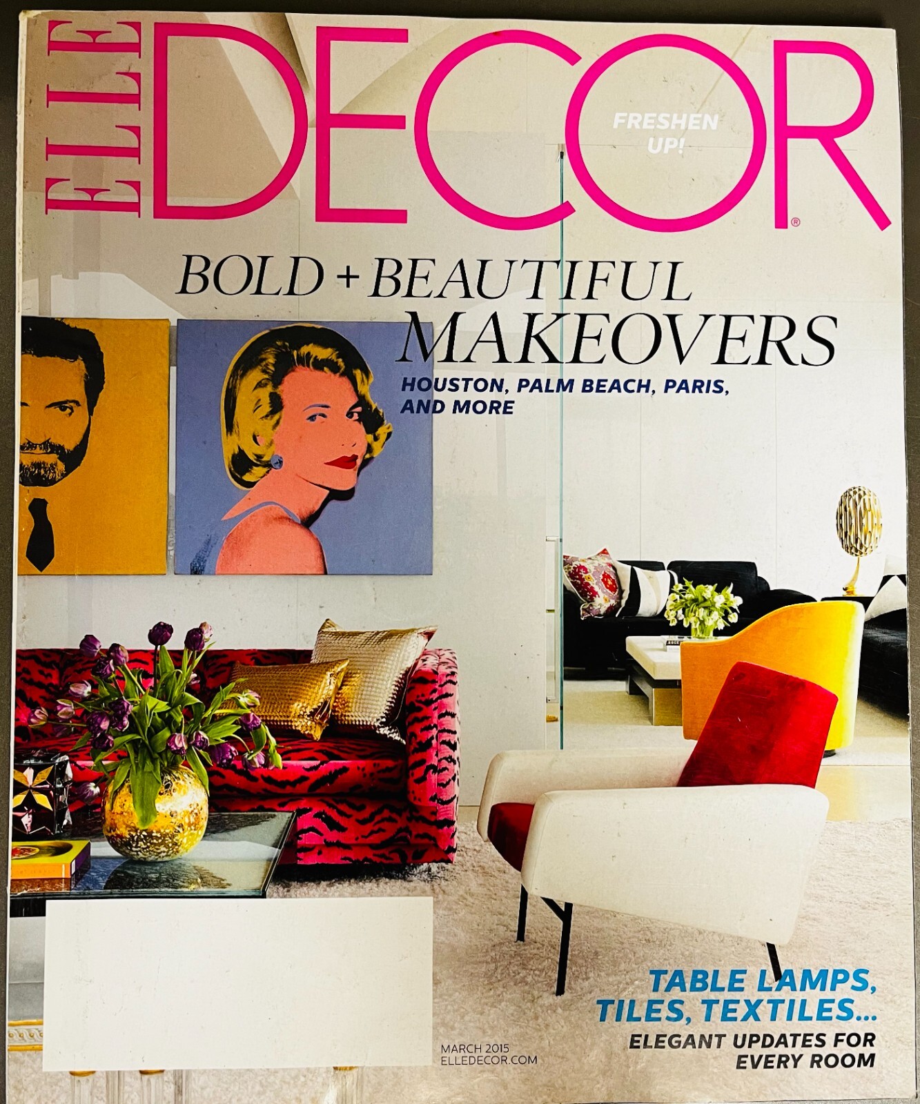 ELLE DECOR Magazine ~ Issue #213 ~  March 2015