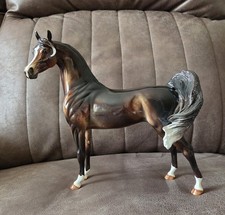 Torg 2008 Glossy Best Offer Arab