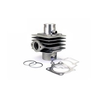 Zylinderkit Carenzi Standard AC Aluminum 50Ccm FüR Derbi Bullet