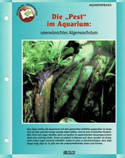 Unerwünschtes Algenwachstum / Aquariuminfokarte