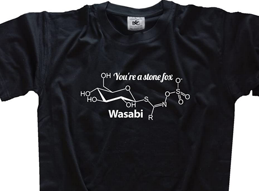 KEEN Chemical Molecules You are a stone fox Maglietta Wasabi Scharf