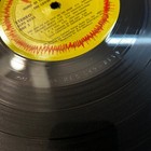 Foto 9 di 12