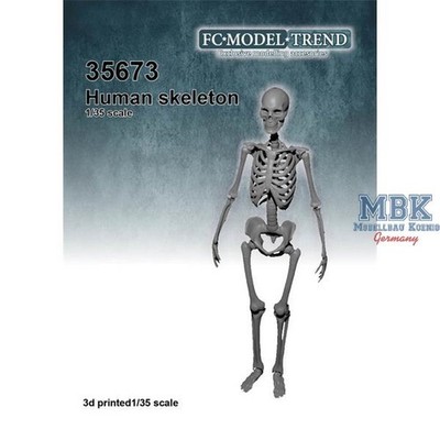 FC MODEL TREND FCMT35673 Human skeleton