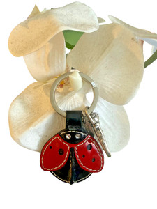 小物 COACH Key Ring Ladybug Butterfly Flower Coach Ladybug Keychain | eBay