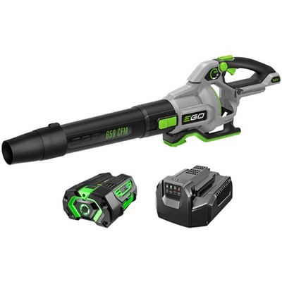 Lightweight 650 CFM Cordless Blower Bundle