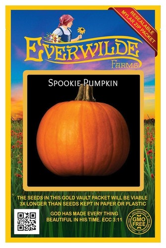 20 Spookie Kürbiskerne - Everwilde Farms Mylar Samen Paket - Bild 1 von 3