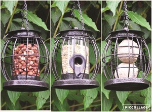 Mini Caged Bird Feeders With Guard Fat Ball Nut Seed And Apple