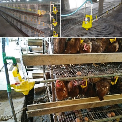 #ad Chick Water Line Pressure Regulator Poultry Drinker Chicken Waterer $67.29