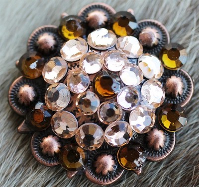 4 Conchos Rhinestone Horse Saddle Western Bridle Headstall Screw Back CO436