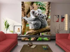 3D Tree Cute Koala 41198NA Wallpaper Wall Murals Removable Wallpaper Fay