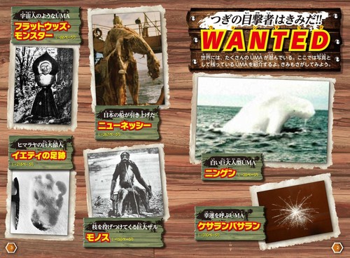 UMA Data File Japanese Book Big Foot Yeti Kaijin Animal - Picture 5 of 5