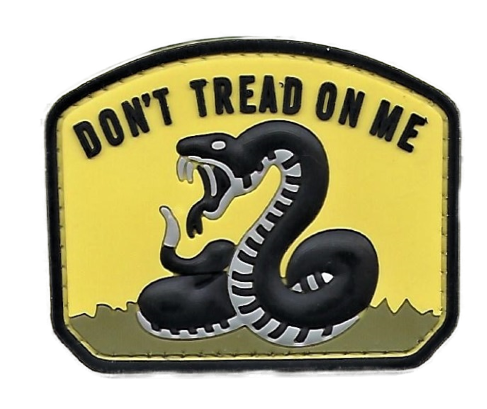 Retired Navy Captain Dan Pedersen, The Naval Officer Who Created TOPGUN, Flies In A Blue Angels F A 18 Super Hornet - Foto 3