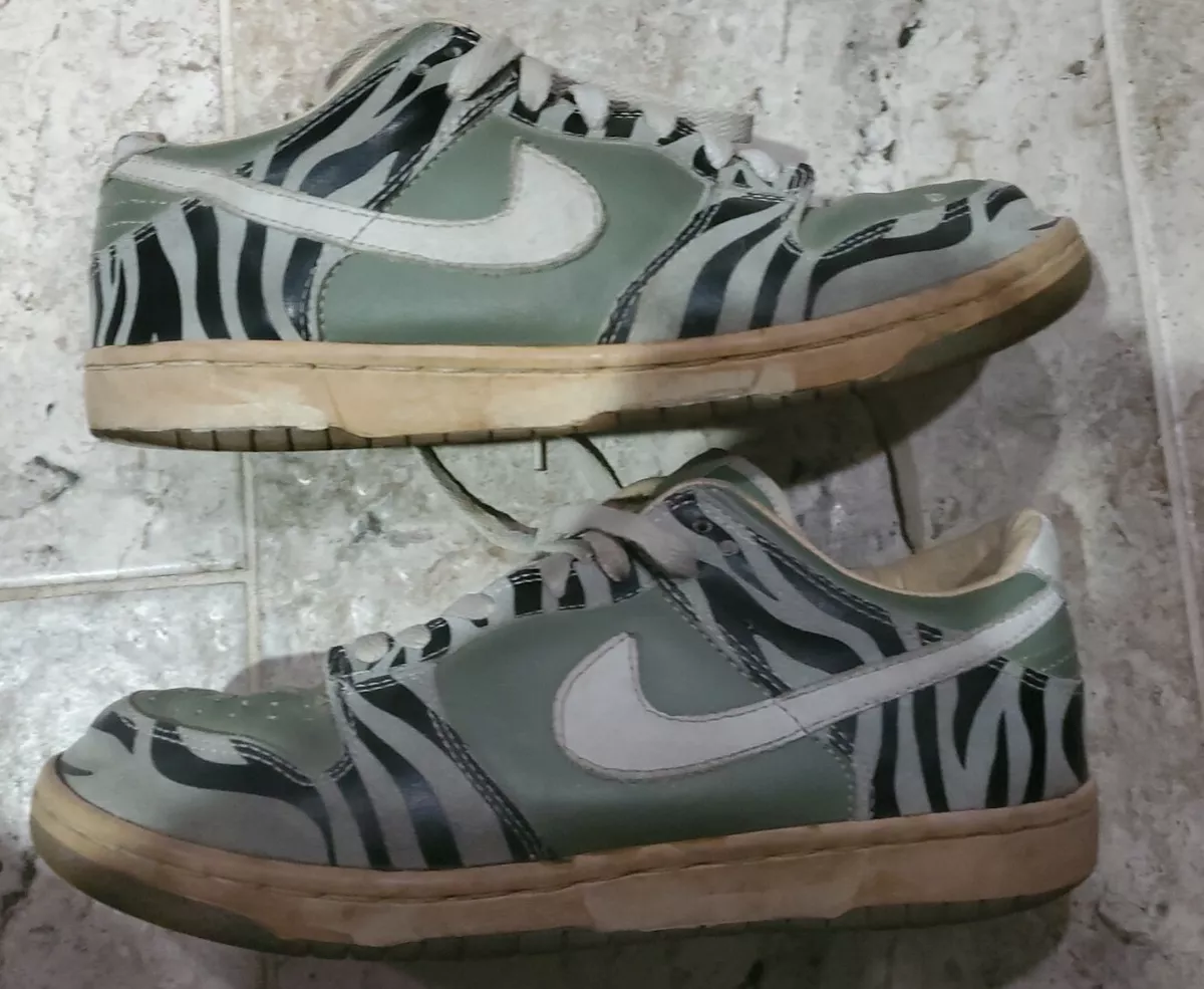 daktari dunk