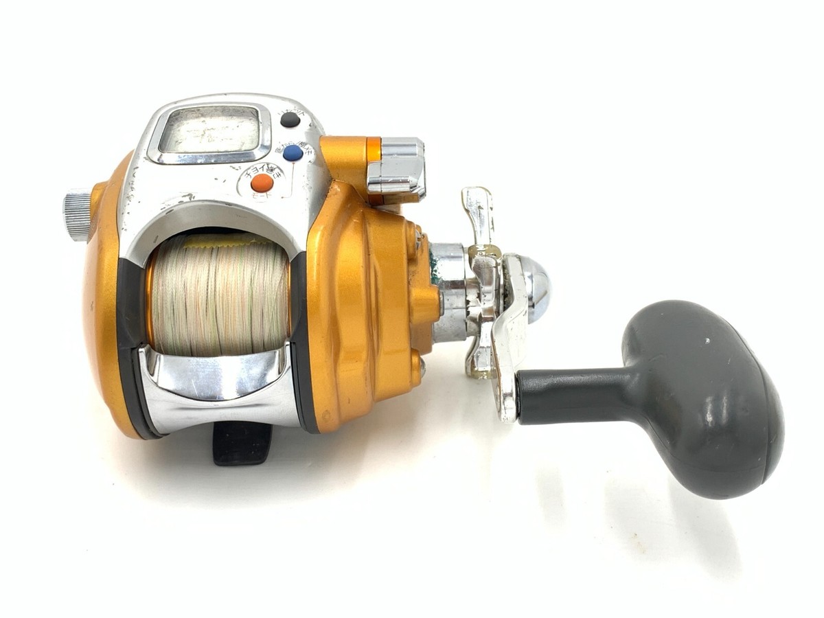 Daiwa SEABORG 250FB Electric Reel Big Game Fishing Deep sea Saltwater 3581