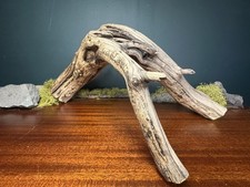 Large 18  Manzanita Driftwood Branch, Aquarium, Terrarium, Aquascape ,Home Decor