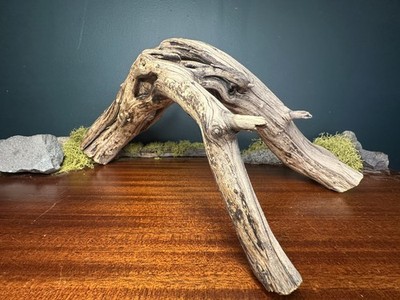 Large 18  Manzanita Driftwood Branch, Aquarium, Terrarium, Aquascape ,Home Decor