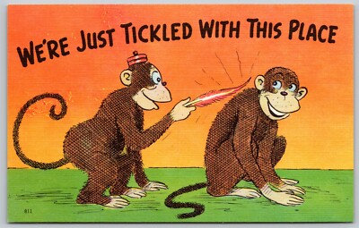 One Monkey Tickling Another ''We're Tickled with This Place'' Humor Postcard 9437