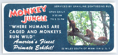 1973 MONKEY JUNGLE MAIMI BEACH FL Vintage 2''X4.5'' Magazine Ad Clip 1970's M388
