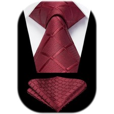 Elegantes Klassisches Hochzeitskrawatten- und Taschentuch-Set