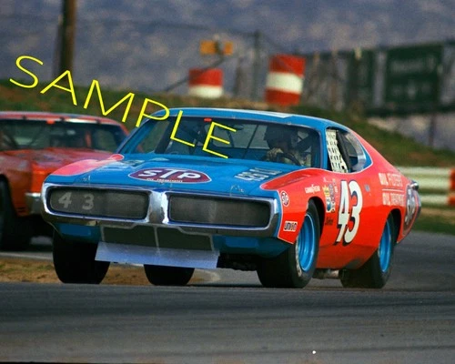 RICHARD PETTY 1973 #43 STP DODGE RACING ON TRACK 8X10 GLOSSY PHOTO #4T