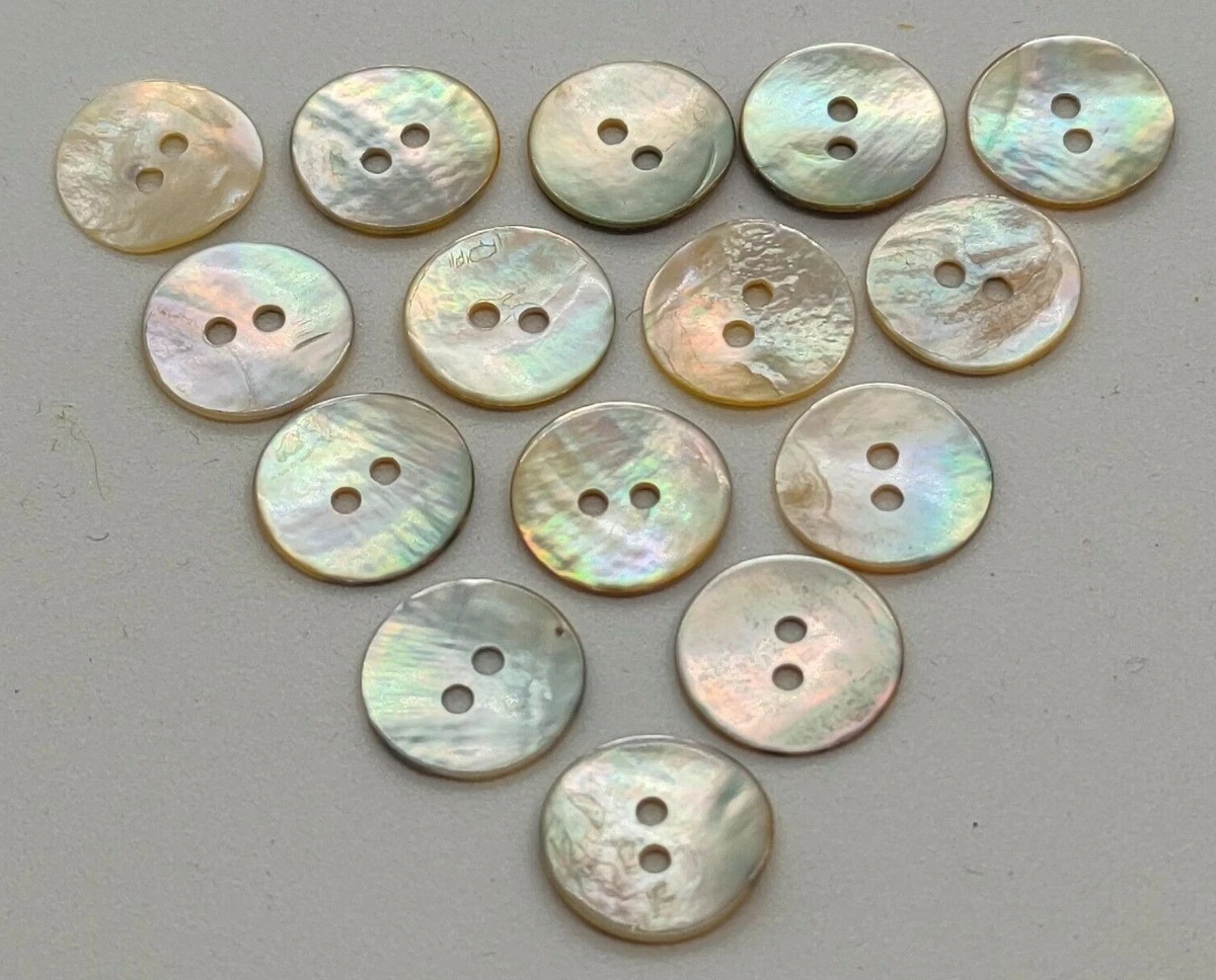 GORGECRAFT 52 Bottoni A Conchiglia Naturali - 2 Misure (16mm E 20mm) - Bianchi, 2 Fori Per Cucito