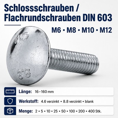 Schlossschrauben Flachrundschrauben Sechskant Edelstahl DIN 603 M6 M8 M10 M12
