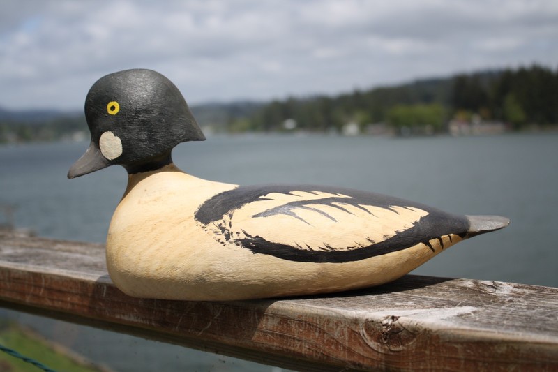 Goldeneye Drake decoy, original paint, painted eyes, by WFS, inletted head.