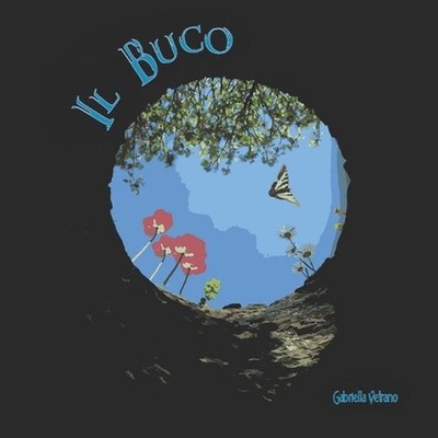 Il Buco by Gabriella Vetrano (Italian) Paperback Book