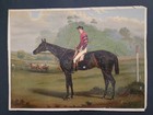 1879 antique THOROUGHBRED RACING HORSE LITHO art PAROLE harry hall FRED ARCHER — photo 1