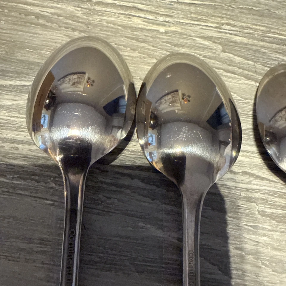 Continental Gourmet COG19 Northland Evening Star acero inoxidable 5 cucharas Foto 3 de 4