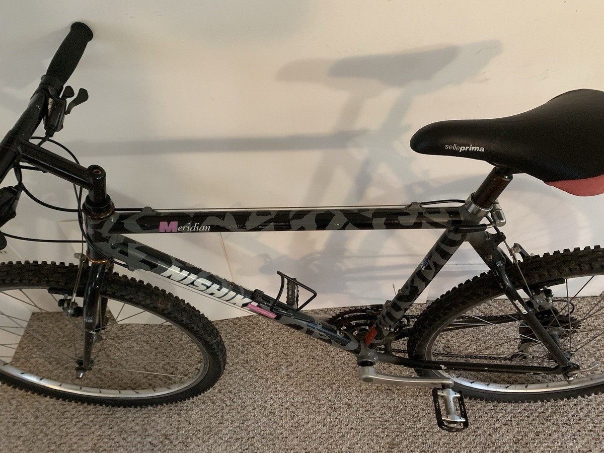 Nishiki OG 90s Crazy Paint Cunningham Design Vintage