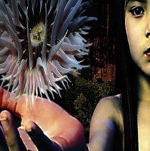 Lifeforms Von Future Sound Of London,The, Future Sound Of ... | Cd | Zustand Neu-image