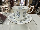 Royal Albert Cup & Saucer Bone China Set England Vintage Purple Blue Flowers