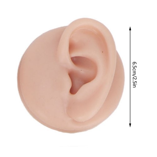 Silicone Ear Eye Nose Mouth Piercing PracticeModel Reusable Displays Body Parts+ - Picture 11 of 11