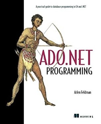 ADO. NET Programming Paperback Arlen Feldman