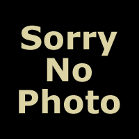 Exhaust Drag Pipe Set Black Shotgun Style fits Harley Davidson - Picture 1 of 1