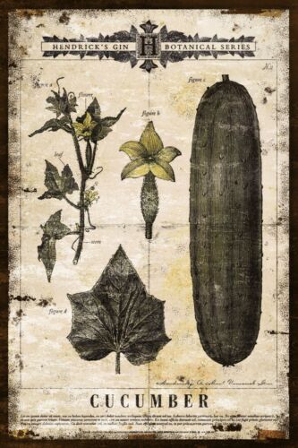 Hendrick's Gin Botanicals Cucumber Advert, Vintage Aged Look New Metal Sign - Afbeelding 1 van 5