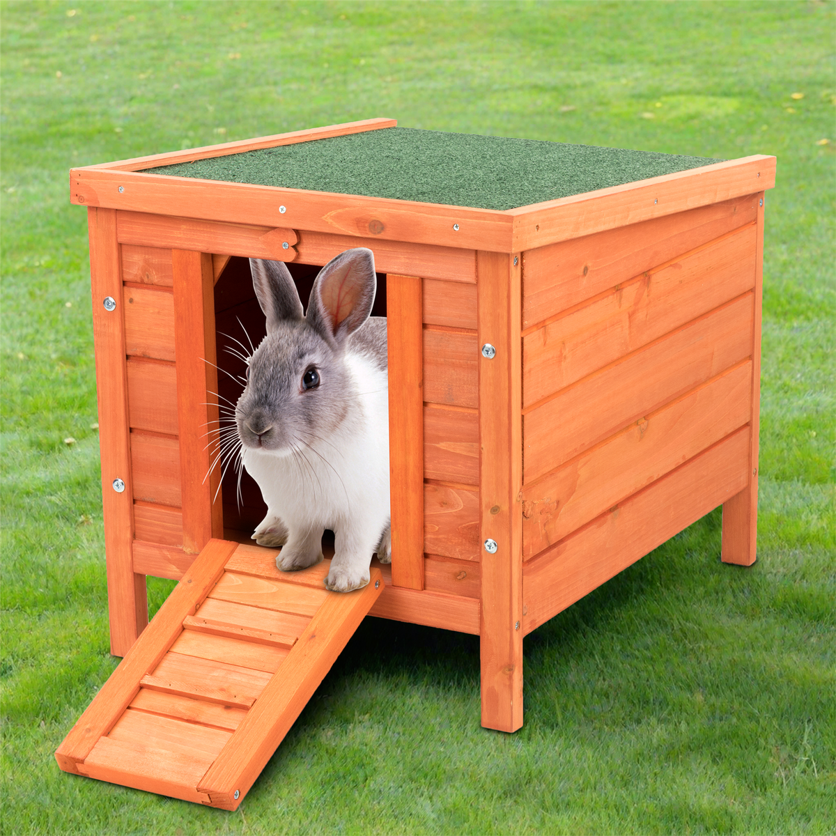 Chicken Coop Rabbit Hutch For Tortoise PET SHELTER HUTCH FOR