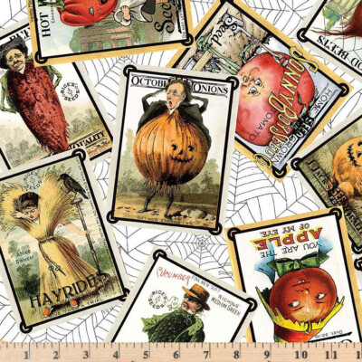 Pumpkin Patch Seed Packs Toss Fabric Frisch CD14579  Half Yard Continuous Cut