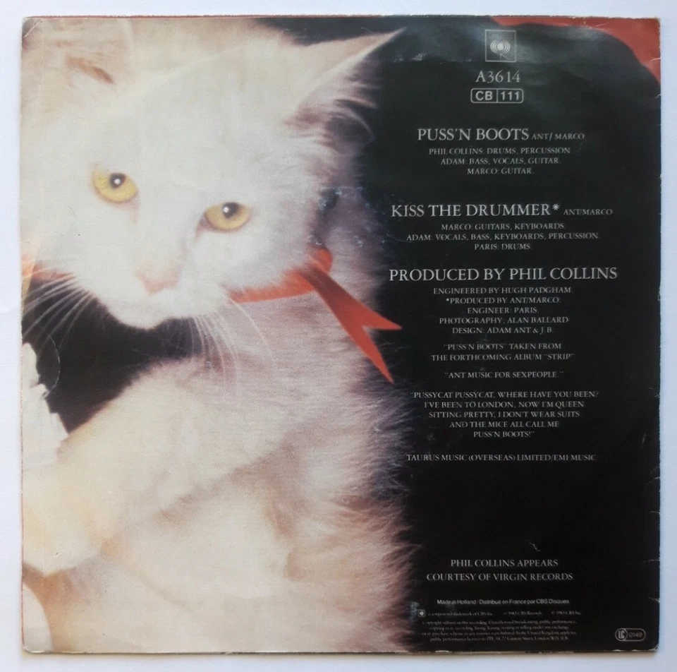 ADAM ANT Puss'N Boots 7" 45 RPM | 1983 CBS | Phil Collins | London New Wave Pop - Bild 2 von 3