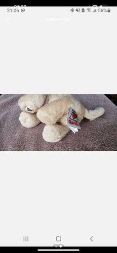 Pug Webkinz - Picture 2 of 2