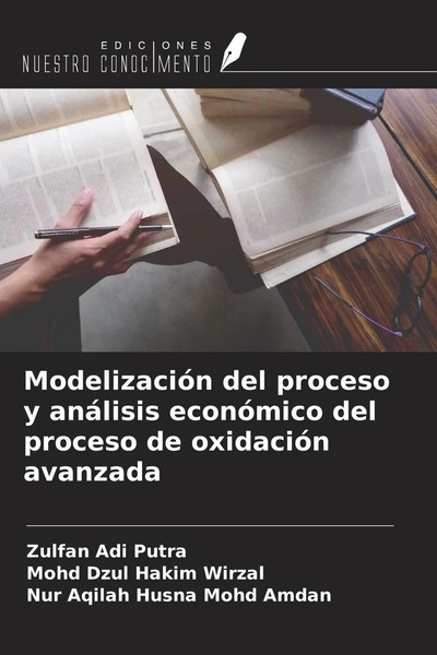 Zulfan Adi Putra (U. A.) | ModelizacióN Del Proceso Y AnáLisis EconóMico Del...-image