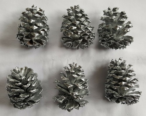 Lot of 6 Small 2.5-3 inch Silver Pinecones for decoration crafts etc - Picture 7 of 8