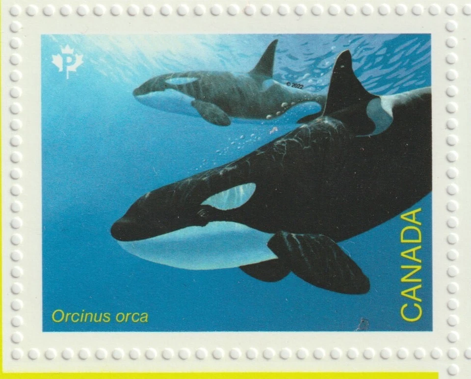 Canada 2022 Souvenir Sheet #3327 Endangered Whales - MNH - Image 2 of 4