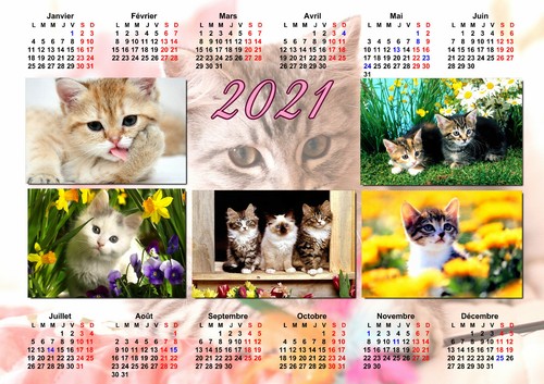 Calendrier 22 Chat Mignon Poster Affiche Plastifiee 30 X 40 Cm Ref 72 Ebay